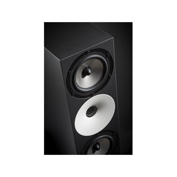 Amphion Two18 【ペア】【受注製品・納期1ヶ月程】※パッシブ