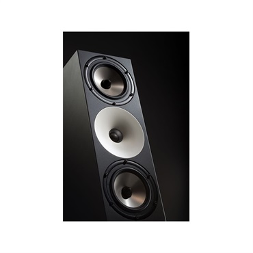 Amphion Two18 【ペア】【受注製品・納期1ヶ月程】※パッシブ Amphion Two18 【ペア】【受注製品・納期1ヶ月程】※パッシブ