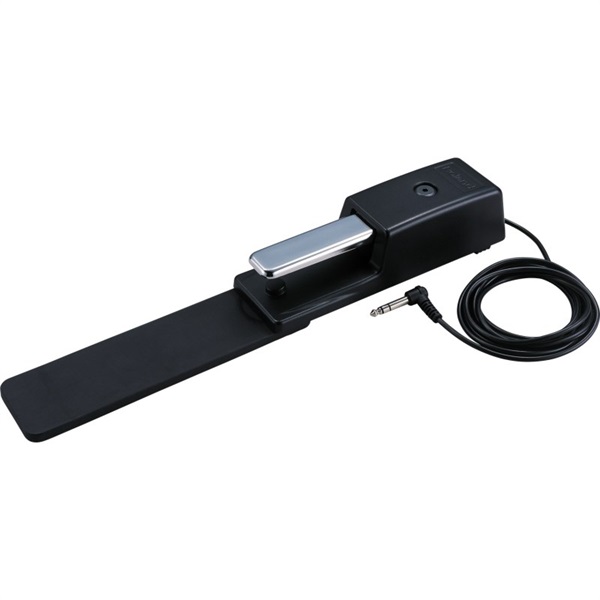 Roland DP-10 画像1