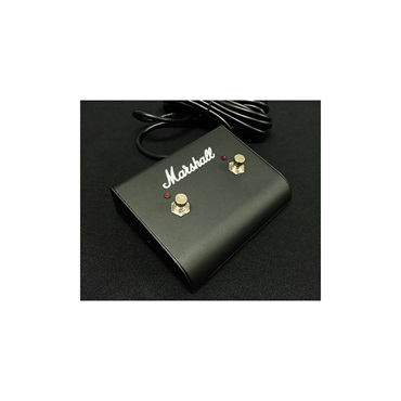 Marshall PEDL91003LED付2連（マーシャル） 画像1