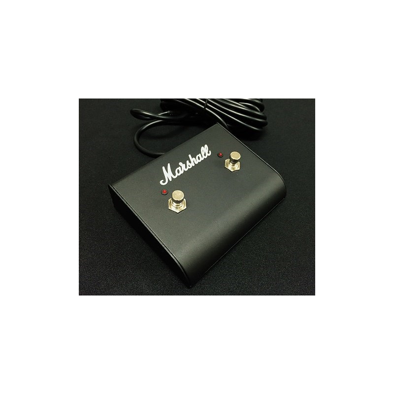 Marshall PEDL91003LED付2連（マーシャル） 画像1