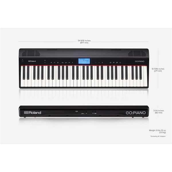 Roland GO:PIANO Entry Keyboard (GO-61P)+CB-GO61（専用キャリング