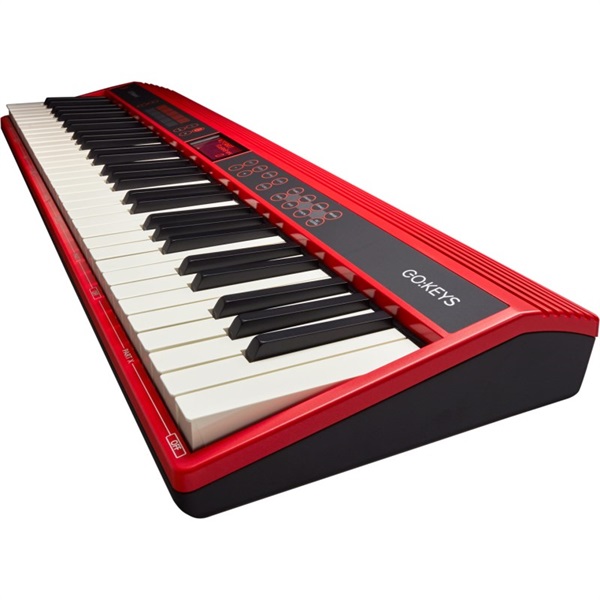 Roland GO:KEYS Entry Keyboard (GO-61K))+CB-GO61KP【専用キャリング