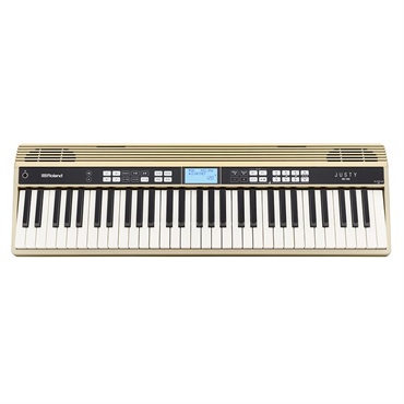 Roland JUSTY HK-100 画像1