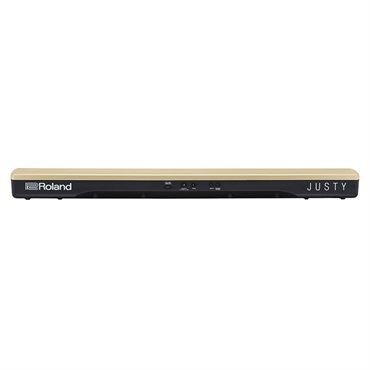 Roland JUSTY HK-100 画像2