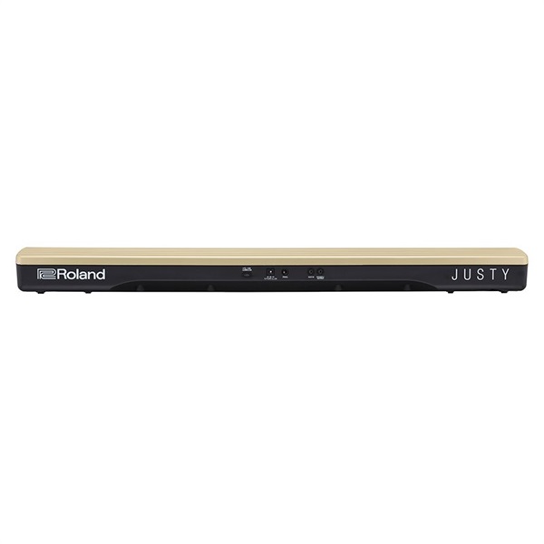 Roland JUSTY HK-100 画像2
