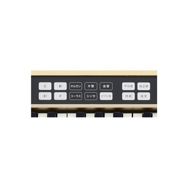 Roland JUSTY HK-100 画像3