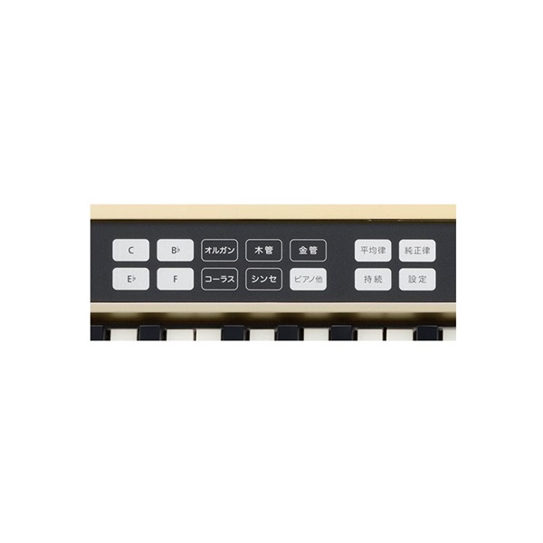 Roland JUSTY HK-100 画像3