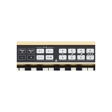 Roland JUSTY HK-100 画像4