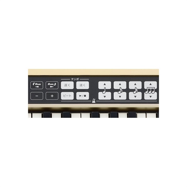 Roland JUSTY HK-100 画像4