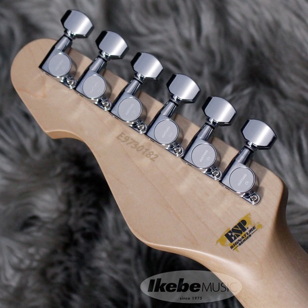 ESP SNAPPER SYU Custom H SYUNAPPER-II 【受注生産品 ESP SNAPPER SYU Custom H SYUNAPPER-II 【受注生産品