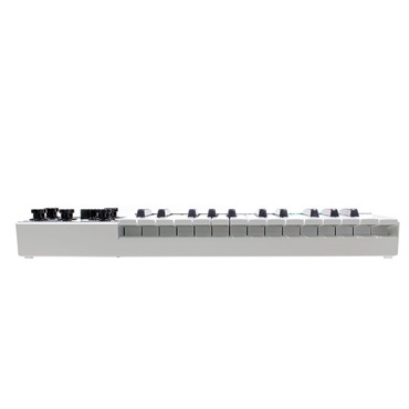 Mellotron Mellotron micro【M4000Dデジタルメロトロンマイクロバージョン】 画像2