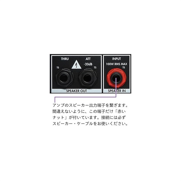 Two Notes Torpedo Captor [8ohm]【旧代理店入荷分特価】 ｜イケベ楽器店オンラインストア