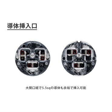 Oyaide AP-004（ベリリウム銅　プラチナ+パラジウム） 画像4