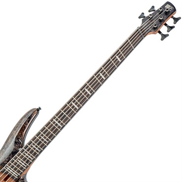 Ibanez Bass Workshop SRMS805-DTW 画像5