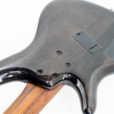 Ibanez Bass Workshop SRMS805-DTW 画像10
