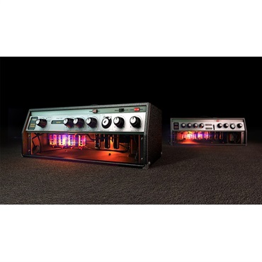 Positive Grid 【ポジティブグリッド Software Promotion】BIAS AMP 2.0 Professional(オンライン納品)(2時間以内に納品) 画像1