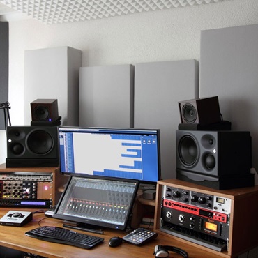 NEUMANN KH 310 A R G(1本)(ノイマン)(モニタースピーカー)(3ウェイパワードモニタースピーカー)(R側) 画像7