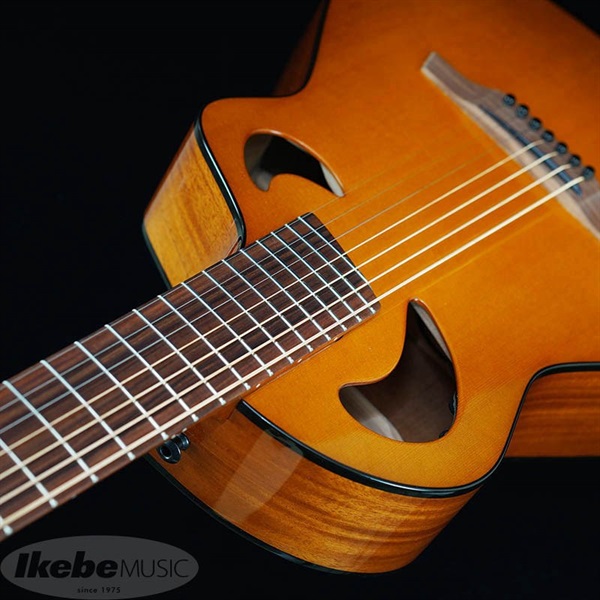 Veillette Guitars Veillette Guitars 15 STUDIO CUTWAY 7Strings CUSTOM ヴィエレッテ ビエレッテ 画像3