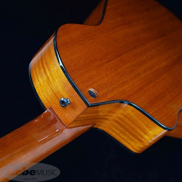 Veillette Guitars Veillette Guitars 15 STUDIO CUTWAY 7Strings CUSTOM ヴィエレッテ ビエレッテ 画像4