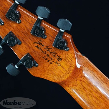 Veillette Guitars Veillette Guitars 15 STUDIO CUTWAY 7Strings CUSTOM ヴィエレッテ ビエレッテ 画像6