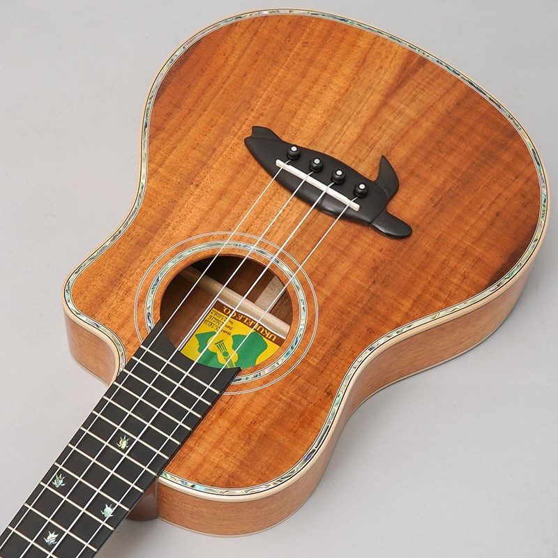 BIG ISLAND KX-TRCG KX Koa Tenor Cutaway ビッグアイランド 画像4