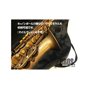 Beaumont 【お取り寄せ品】ボーモント アルトサックス用セミハードケース ブルー・ポルカドット 画像3