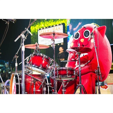 TAMA M-NYAN [にゃんごすたーモデル] 画像4