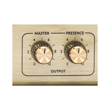 Marshall Origin50C（アンプ コンボ マーシャル） 画像6