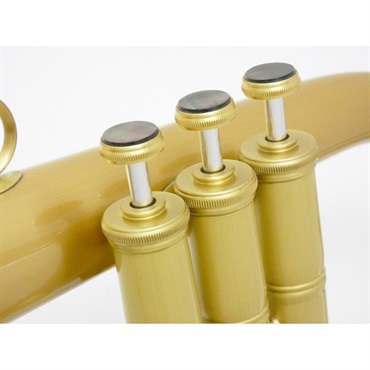 CAROL BRASS キャロルブラス / N6200 ALL-SATIN GB 【Bb フリューゲル ホルン】【調整後出荷】 画像4