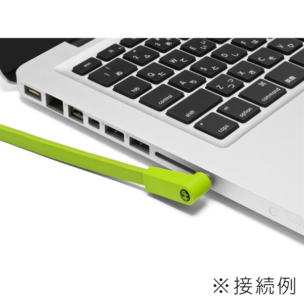 Oyaide d+MYR class B【1.5m】 (3.5mini stereo to RCA(x2) Yケーブル) 画像3
