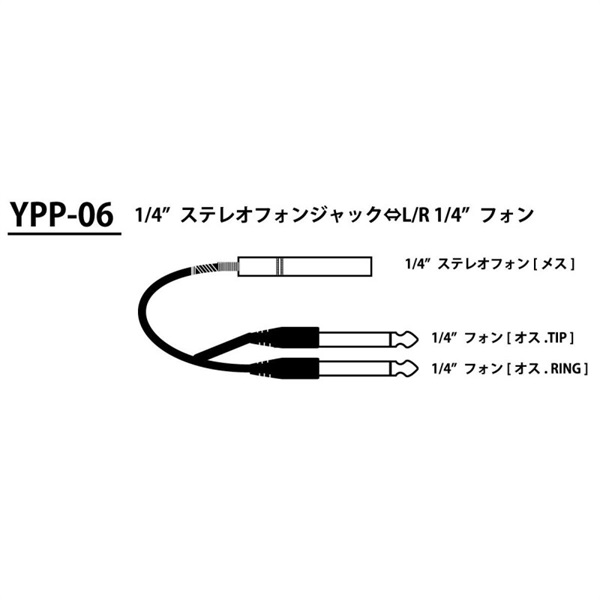 Tech YPP-06 画像1