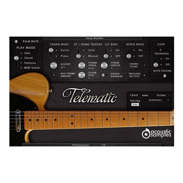 Acoustic Samples AS Guitar Collection(代引不可)(オンライン納品) 画像3