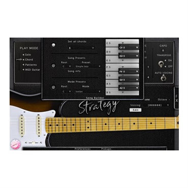 Acoustic Samples Strategy(代引不可)(オンライン納品) 画像3