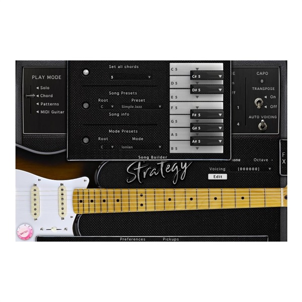 Acoustic Samples Strategy(代引不可)(オンライン納品) 画像3