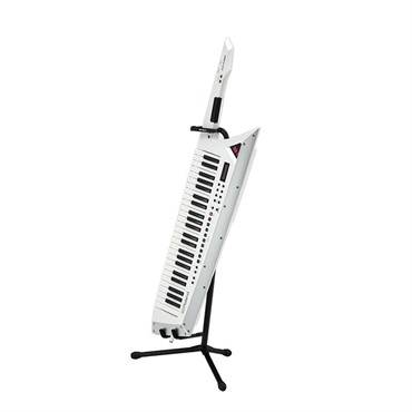Roland ST-AX2 画像2