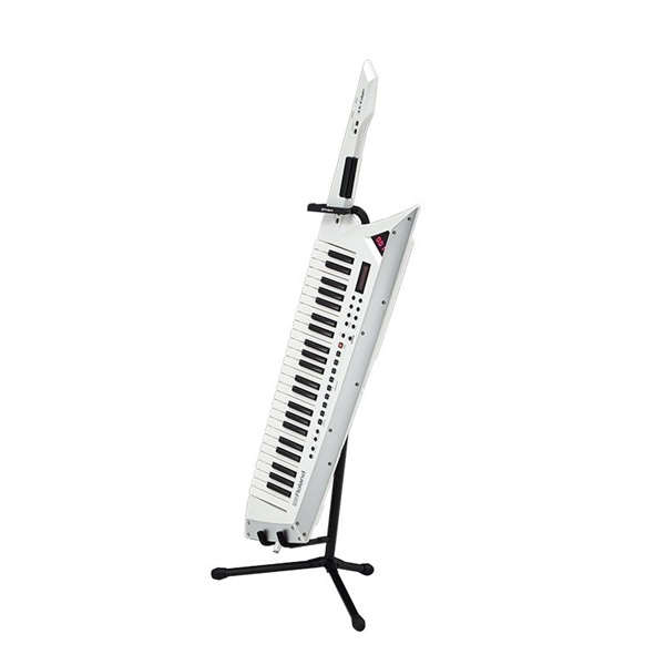 Roland ST-AX2 画像2