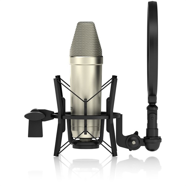 TANNOY TM1【プレミアムラージコンデンサーマイクロフォン