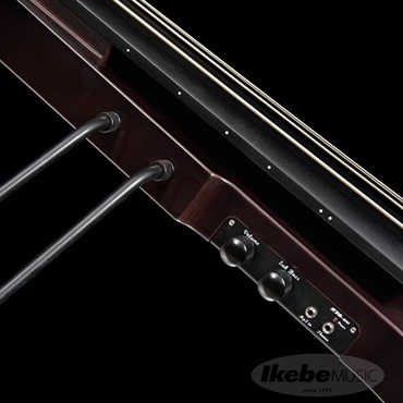 Hallstatt WBSE-1000 (TBK) 【スタンド付きアップライトベース初心者用セット】 画像4