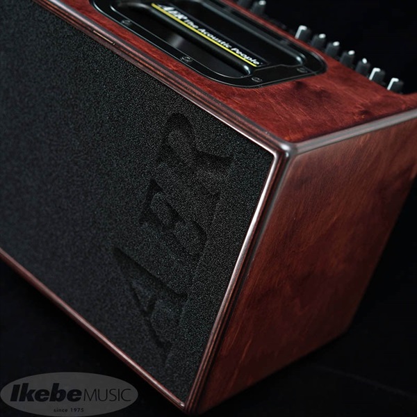 AER IKEBE ORIGINAL Compact60/4 BIRCH PLYWOOD EDITION WOODY