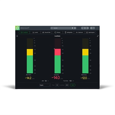 iZotope INSIGHT 2(アイゾトープ)(インサイト)(オンライン納品)(2時間以内に納品) 画像4