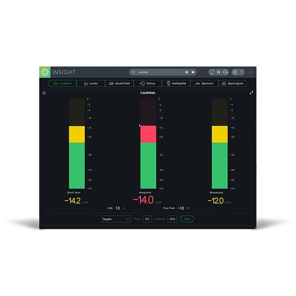 iZotope INSIGHT 2(アイゾトープ)(インサイト)(オンライン納品)(2時間以内に納品) 画像4