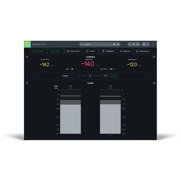 iZotope INSIGHT 2(アイゾトープ)(インサイト)(オンライン納品)(2時間以内に納品) 画像5