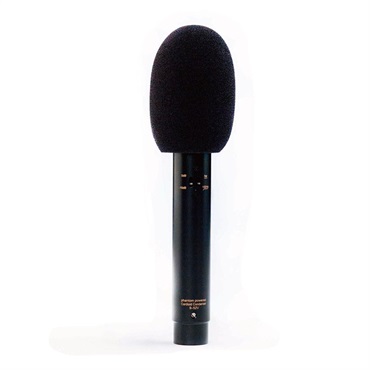AUDIX ADX51 |イケベ楽器店オンラインストア AUDIX ADX51 |イケベ楽器店オンラインストア