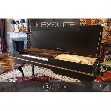 UVI Key Suite Acoustic (代引不可)(オンライン納品) 画像3