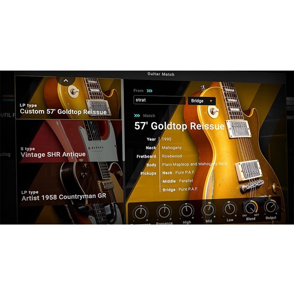 Positive Grid BIAS FX2.0 Standard (オンライン納品)(2時間以内