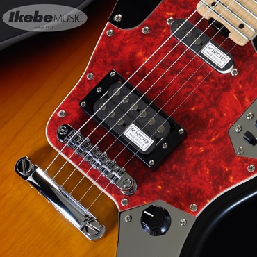 SCHECTER AR-06 (3TSB/M) 画像3