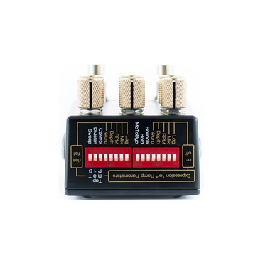 Chase Bliss Audio WARPED VINYL HiFi 【Analog Vibrato/Chorus】 画像1