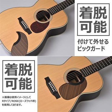 Tim Bud Free Picking 着脱式ピックガード [Rタイプ／TTS(べっ甲柄)] 画像3