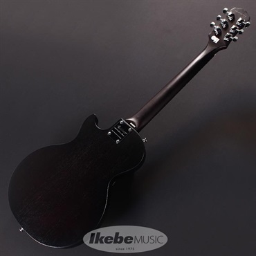 Epiphone Les Paul SL (VS) 画像2